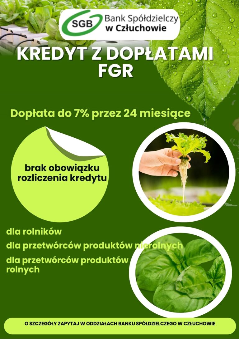 Kredyt z gwarancją FGR
